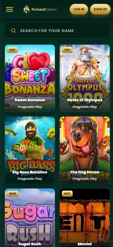 Richard Casino game lobby on a phone: a search field above a two-column grid of pokies with HOT, TOP and NEW badges and the provider under each title