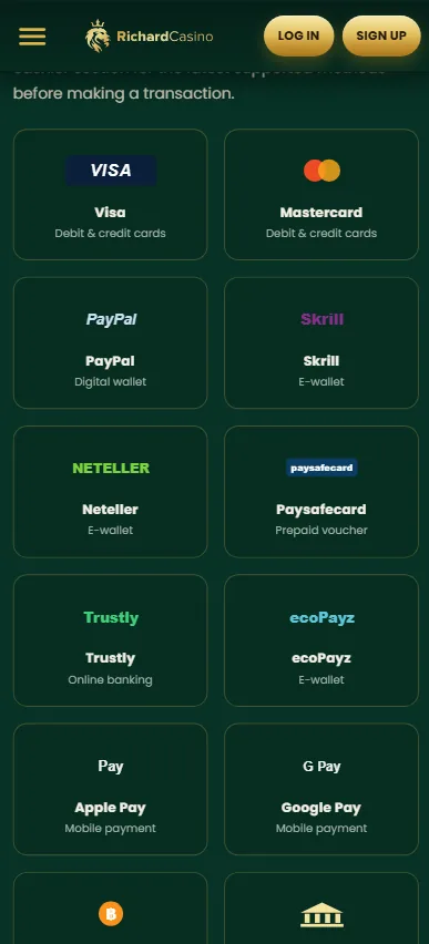 Richard Casino payment methods on a phone, listed in two columns including Visa, Mastercard, PayPal, Skrill, Neteller, Paysafecard, Apple Pay and Google Pay