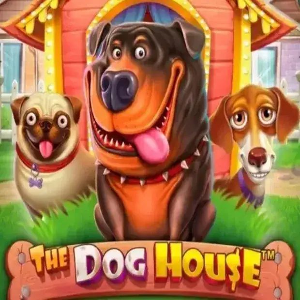 The Dog House
